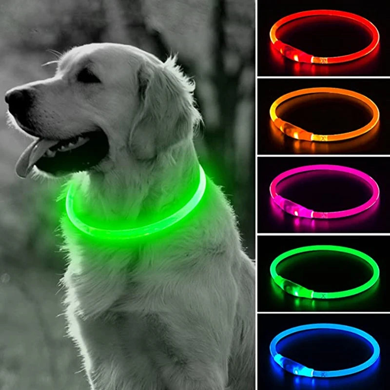 Collar LED para Perros y Gatos