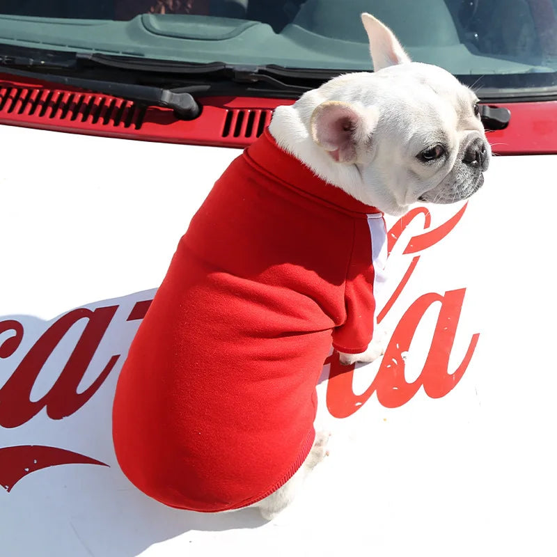 Chaqueta de invierno para perros: ¡comodidad y estilo para tu mascota!