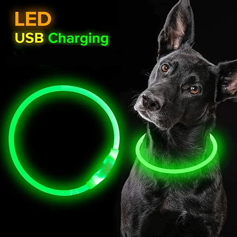 Collar LED para Perros y Gatos