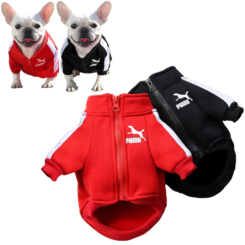 Chaqueta de invierno para perros: ¡comodidad y estilo para tu mascota!