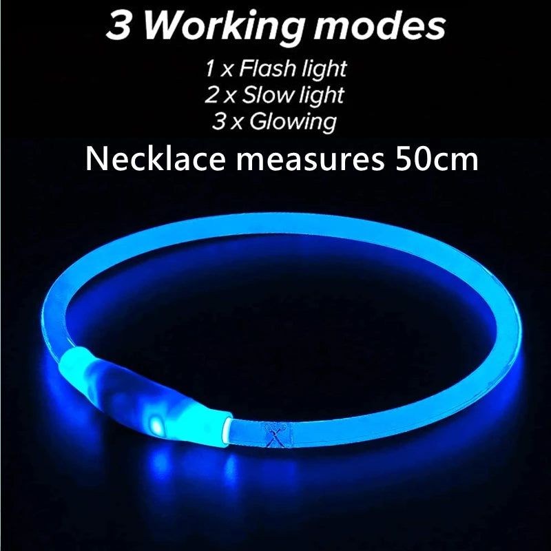 Collar LED para Perros y Gatos