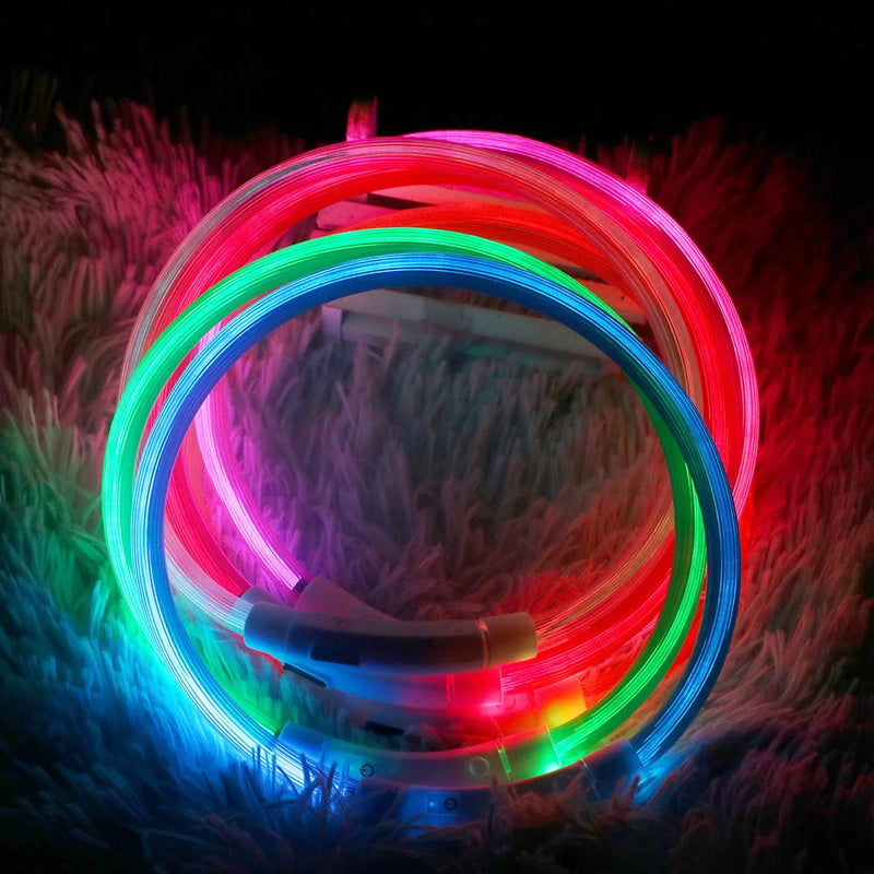 Collar LED para Perros y Gatos